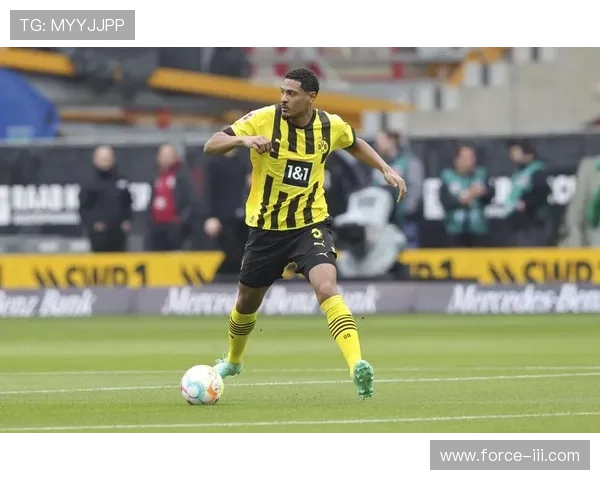 k8凯发体育娱乐体育赛事直播与竞猜服务详解:提升观赛体验的最佳选择